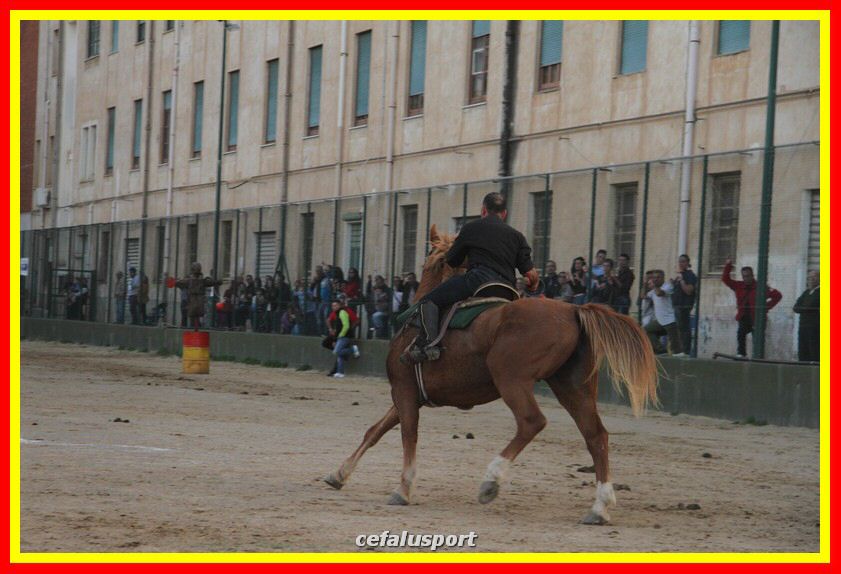 161106 equestre 049_tn.jpg